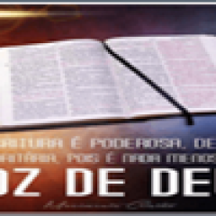 Administrador